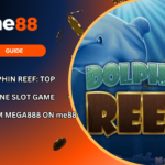 Dolphin Reef Slot Game