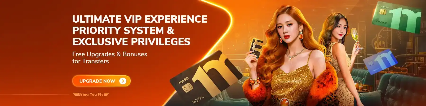 banner for VIP program experiences